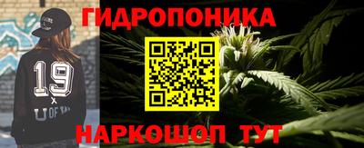 прущая мука Кимры