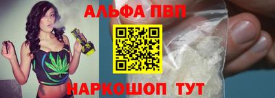 дурь Кингисепп